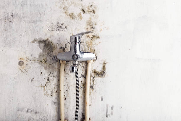 Reliable Fairmount, GA Mold Remediation Solutions
