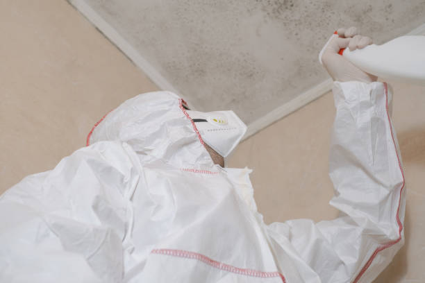 Best Mold Remediation for Schools in Fairmount, GA
