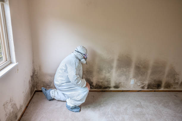 Best Bathroom Mold Remediation in Fairmount, GA